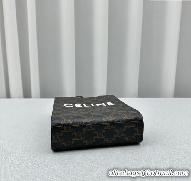 Classic Specials Celine Mini Vertical Cabas Tote Bag in Triomphe Canvas and Calfskin 60007 Tan Brown 2024