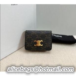 Spot Bulk Celine Triomphe Canvas Compact Wallet 10K622 Brown 2024
