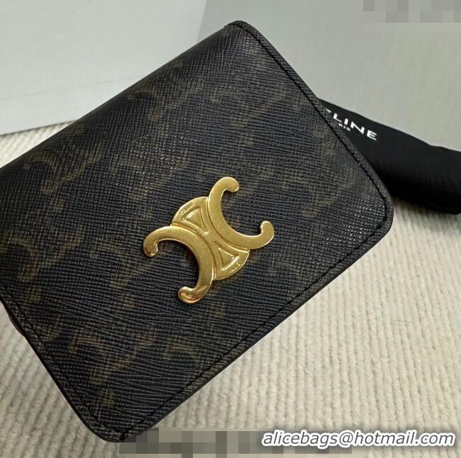 Spot Bulk Celine Triomphe Canvas Compact Wallet 10K622 Brown 2024
