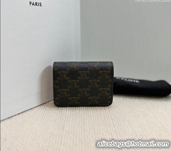 Spot Bulk Celine Triomphe Canvas Compact Wallet 10K622 Brown 2024