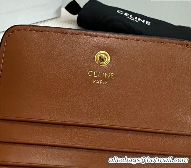 Spot Bulk Celine Triomphe Canvas Compact Wallet 10K622 Brown 2024