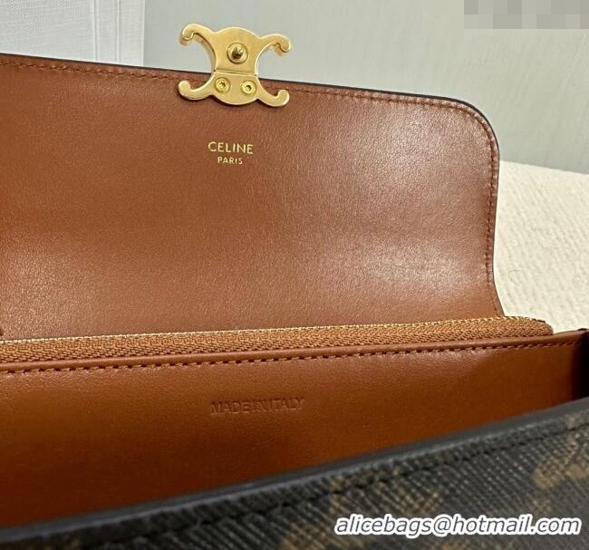 Inexpensive Celine Triomphe Canvas Large Wallet 10E312 2024