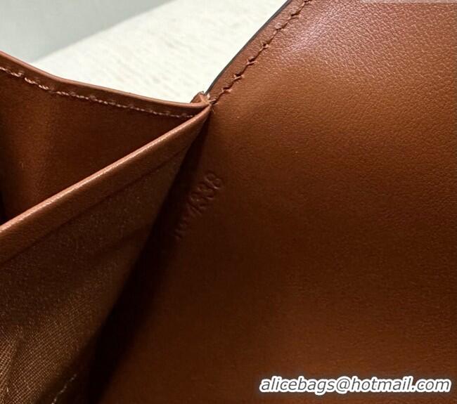 Inexpensive Celine Triomphe Canvas Large Wallet 10E312 2024