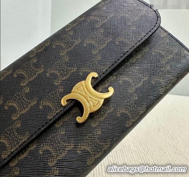 Inexpensive Celine Triomphe Canvas Large Wallet 10E312 2024