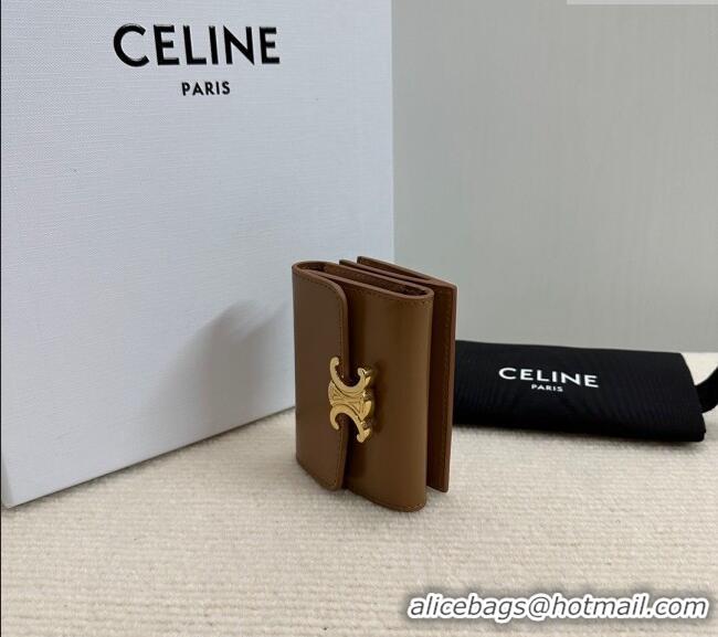 Modern Classic Celine Triomphe Compact Wallet with Coin in Shiny Calfskin 10I653 Brown 2024