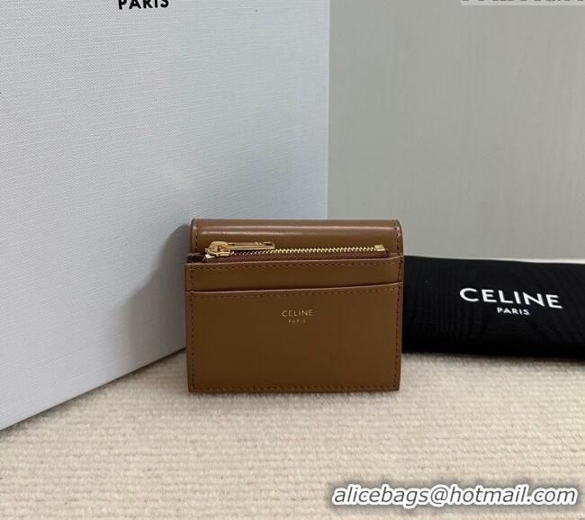 Modern Classic Celine Triomphe Compact Wallet with Coin in Shiny Calfskin 10I653 Brown 2024