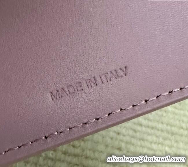 Spot Bulk Celine Triomphe Compact Wallet with Coin in Shiny Calfskin 10I653 Sakura Pink 2024