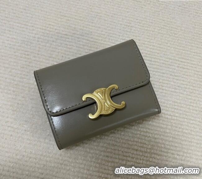 Good Looking Celine Triomphe Compact Wallet with Coin in Shiny Calfskin 10I653 Stone Grey 2024
