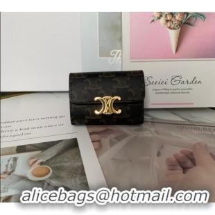Fashion Discount Celine Triomphe Canvas Compact Wallet with Coin 10I653 2024