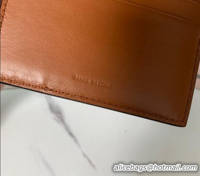 Fashion Discount Celine Triomphe Canvas Compact Wallet with Coin 10I653 2024