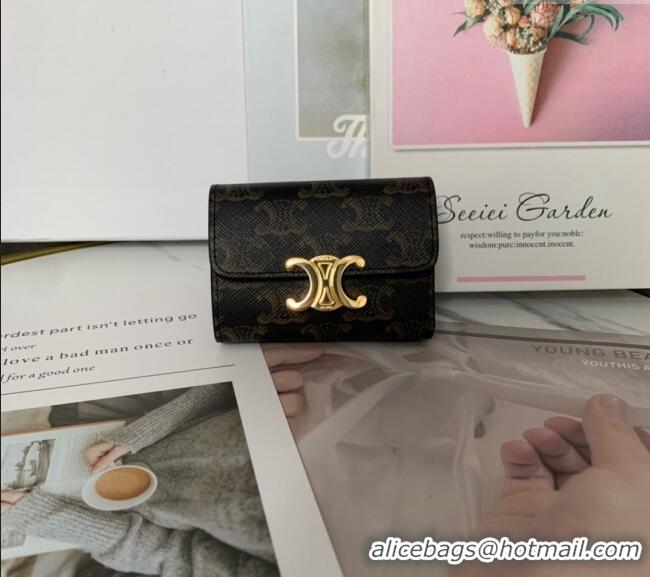 Fashion Discount Celine Triomphe Canvas Compact Wallet with Coin 10I653 2024