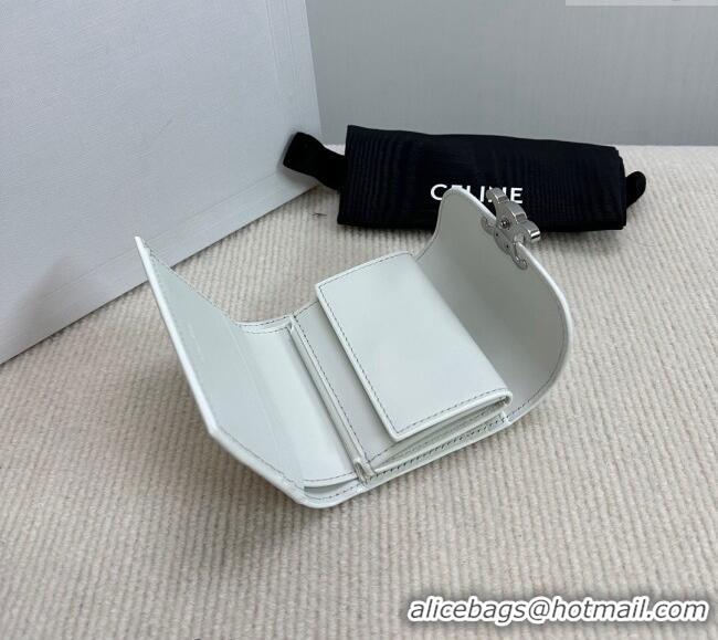 Trendy Design Celine Small Wallet in Shiny Calfskin 10D783 White/Silver 2024