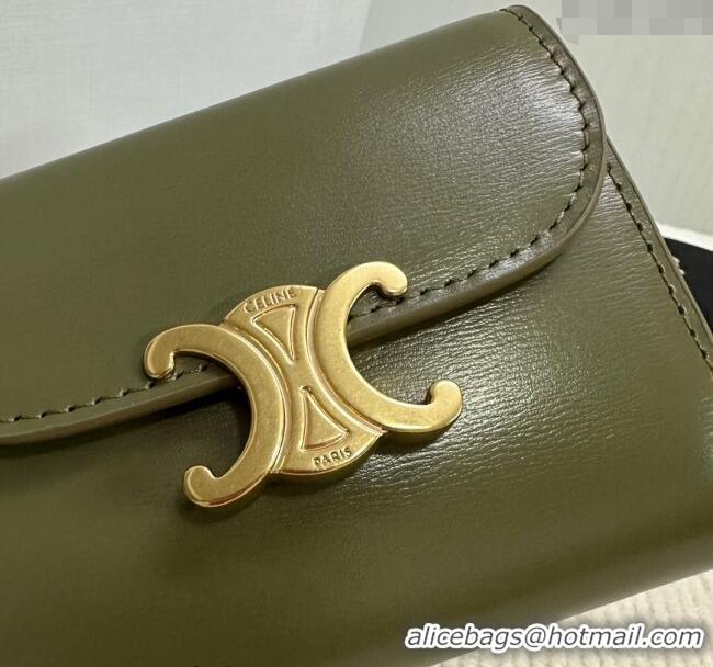 Famous Brand Celine Small Wallet in Shiny Calfskin 10D783 Dark Olive Green 2024