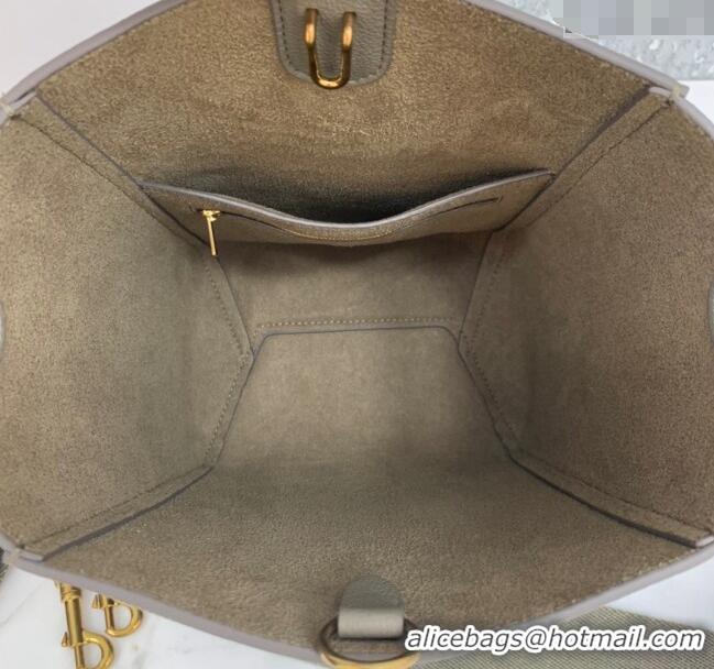 Modern Classic Celine Seau Sangle Small Bucket Bag in Supple Grained Calfskin 2088 Sage Grey 2024