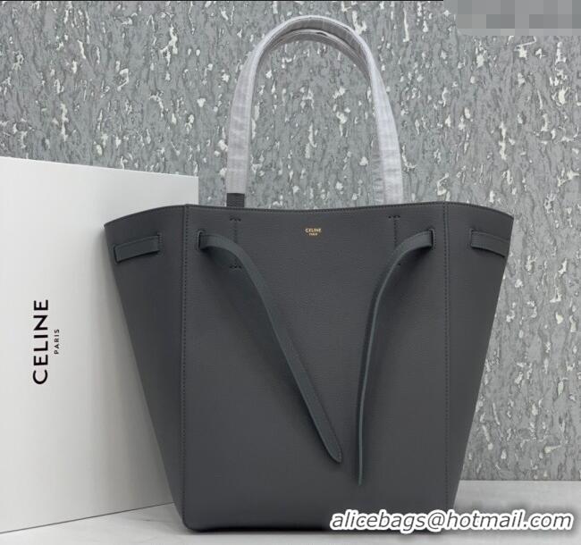 Best Price Celine Cabas Phantom Small Tote Bag in Supple Grained Calfskin 180544 Dark Grey 2024