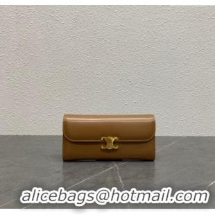 Grade Quality Celine Triomphe Large Wallet in Shiny Calfskin 100312 Brown 2024 Top