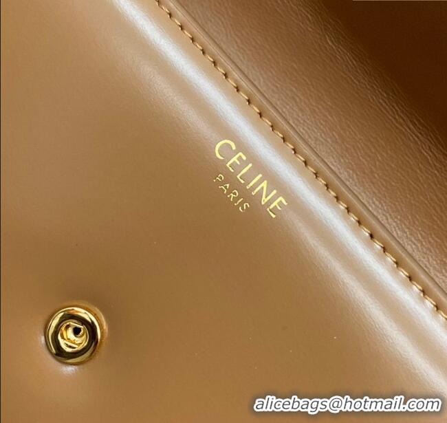 Grade Quality Celine Triomphe Large Wallet in Shiny Calfskin 100312 Brown 2024 Top