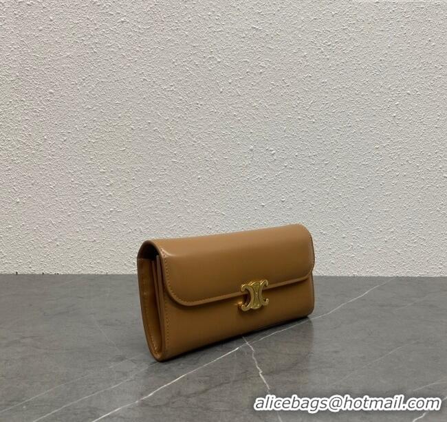 Grade Quality Celine Triomphe Large Wallet in Shiny Calfskin 100312 Brown 2024 Top