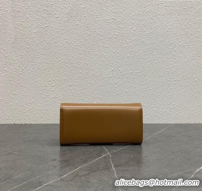 Grade Quality Celine Triomphe Large Wallet in Shiny Calfskin 100312 Brown 2024 Top