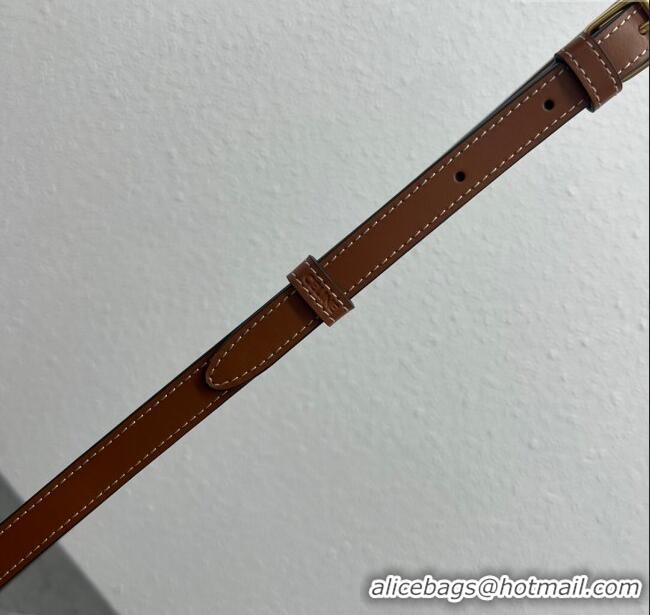 Fashion Discount Celine TRIOMPHE Oval Bag in Canvas and Calfskin 198604 Brown 2024 Top