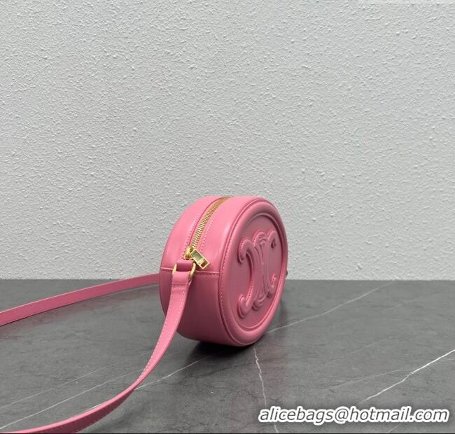 Discount Celine TRIOMPHE Oval Bag in Smooth Calfskin 198604 Pink 2024 Top