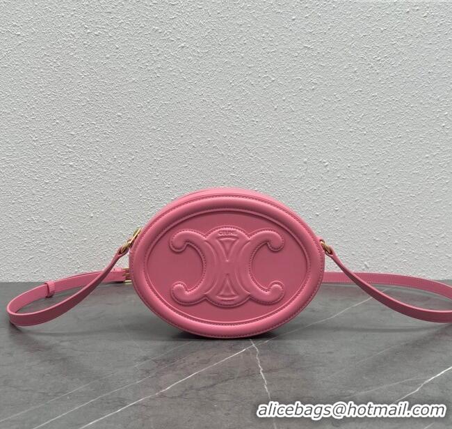 Discount Celine TRIOMPHE Oval Bag in Smooth Calfskin 198604 Pink 2024 Top