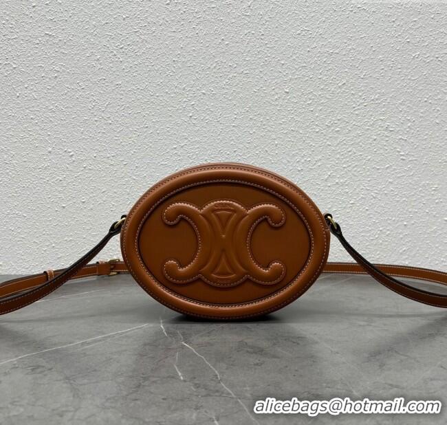 Shop Grade Celine TRIOMPHE Oval Bag in Smooth Calfskin 198604 Brown 2024 Top