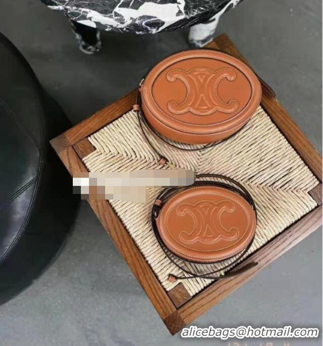 Shop Grade Celine TRIOMPHE Oval Bag in Smooth Calfskin 198604 Brown 2024 Top