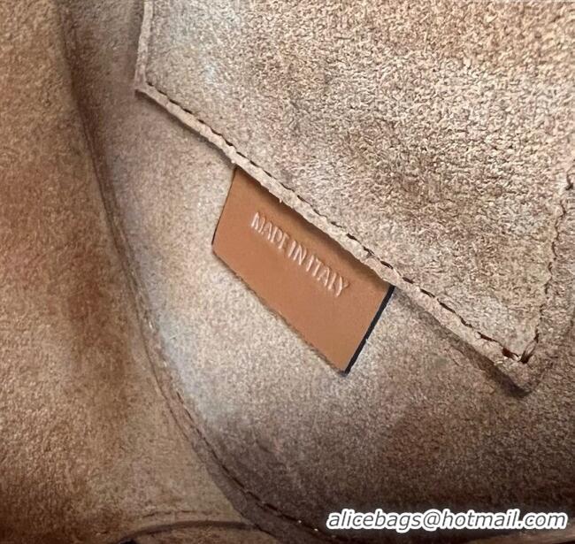 Shop Grade Celine TRIOMPHE Oval Bag in Smooth Calfskin 198604 Brown 2024 Top