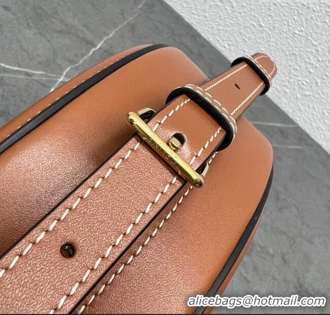 Shop Grade Celine TRIOMPHE Oval Bag in Smooth Calfskin 198604 Brown 2024 Top