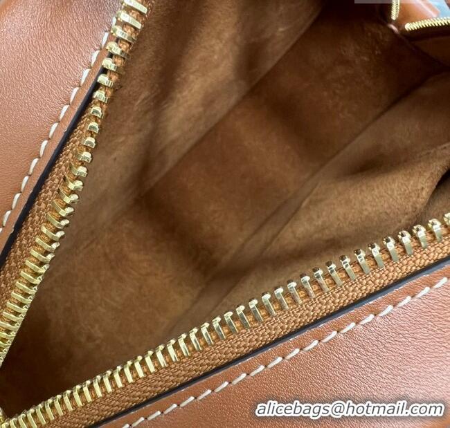 Shop Grade Celine TRIOMPHE Oval Bag in Smooth Calfskin 198604 Brown 2024 Top