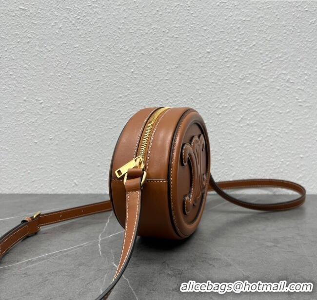 Shop Grade Celine TRIOMPHE Oval Bag in Smooth Calfskin 198604 Brown 2024 Top