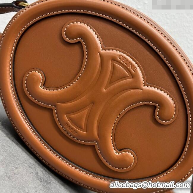 Shop Grade Celine TRIOMPHE Oval Bag in Smooth Calfskin 198604 Brown 2024 Top