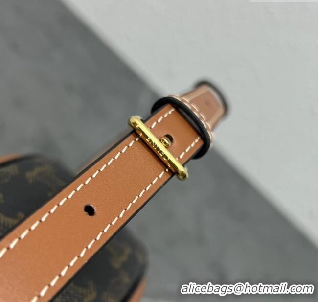 Luxury Cheap Celine TRIOMPHE Oval Bag in Triomphe Canvas and Calfskin 198604 Tan 2024 Top