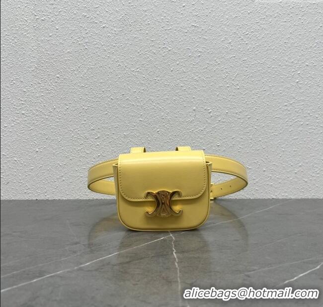Cheapest Celine Belt Bag Triomphe Belt in Shiny Calfskin 101555 Yellow 2024 Top