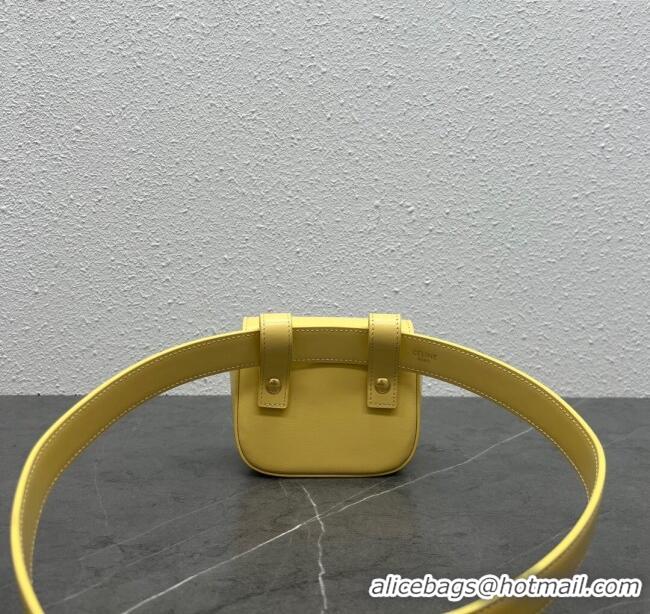 Cheapest Celine Belt Bag Triomphe Belt in Shiny Calfskin 101555 Yellow 2024 Top