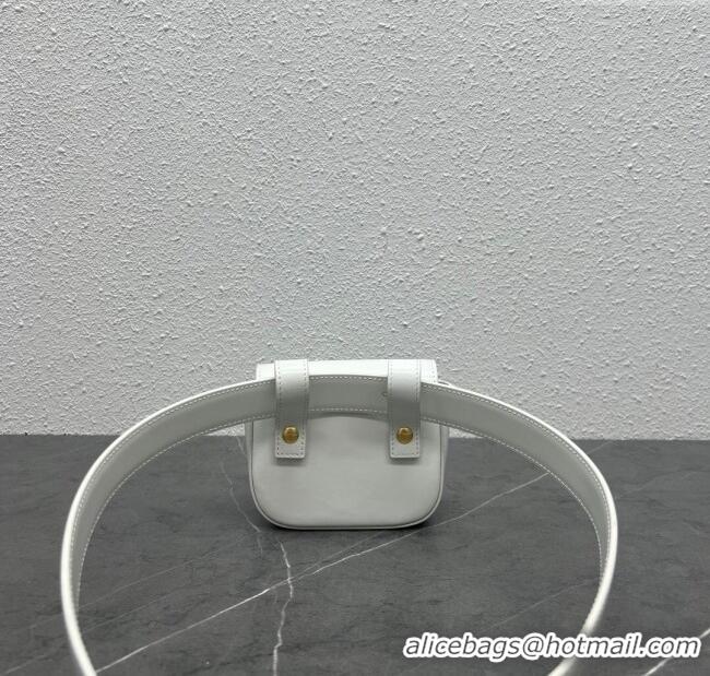 Buy New Cheap Celine Belt Bag Triomphe Belt in Shiny Calfskin 101555 White 2024 Top