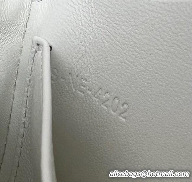 Buy New Cheap Celine Belt Bag Triomphe Belt in Shiny Calfskin 101555 White 2024 Top