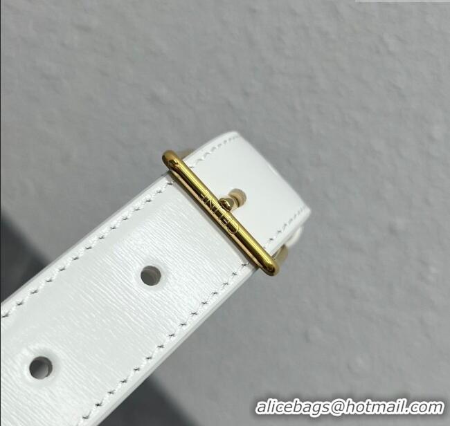 Buy New Cheap Celine Belt Bag Triomphe Belt in Shiny Calfskin 101555 White 2024 Top