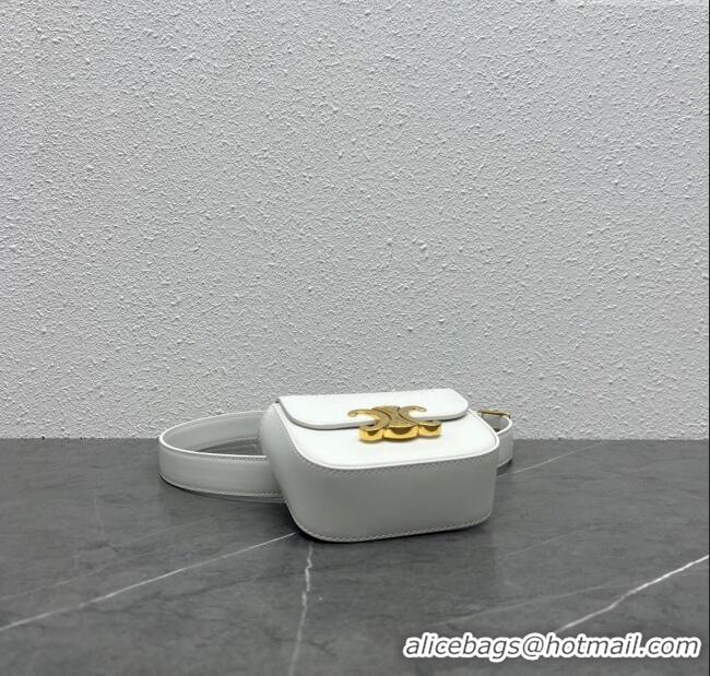 Buy New Cheap Celine Belt Bag Triomphe Belt in Shiny Calfskin 101555 White 2024 Top