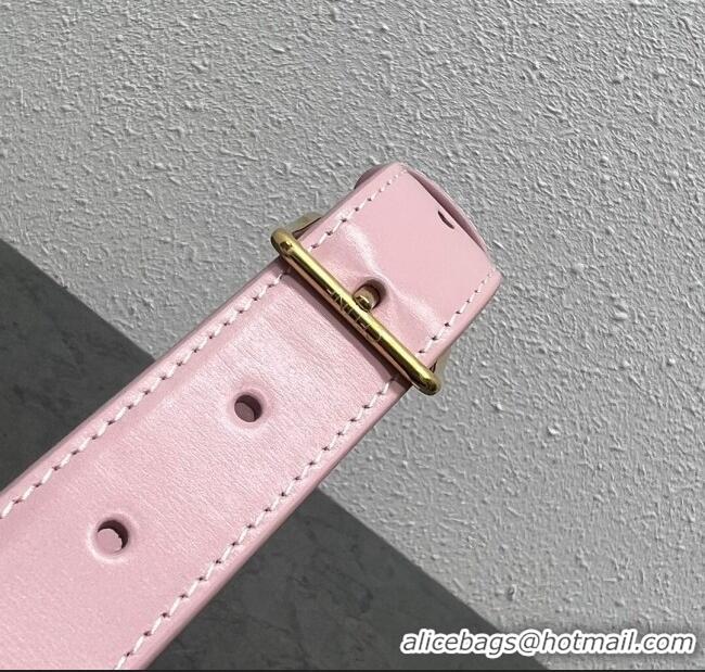 Grade Quality Celine Belt Bag Triomphe Belt in Shiny Calfskin 101555 Pink 2024 Top