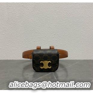 Classic Specials Celine Belt Bag Triomphe Belt in Triomphe Canvas and Calfskin 101555 Tan 2024 Top