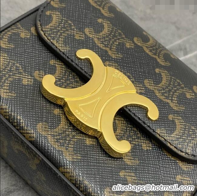 Classic Specials Celine Belt Bag Triomphe Belt in Triomphe Canvas and Calfskin 101555 Tan 2024 Top