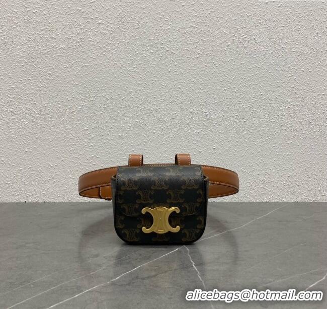 Classic Specials Celine Belt Bag Triomphe Belt in Triomphe Canvas and Calfskin 101555 Tan 2024 Top