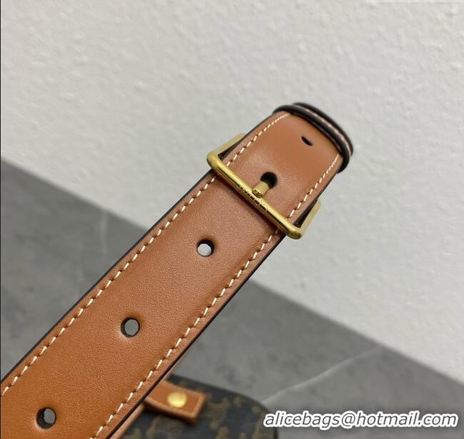 Classic Specials Celine Belt Bag Triomphe Belt in Triomphe Canvas and Calfskin 101555 Tan 2024 Top