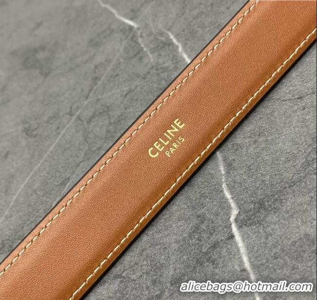 Classic Specials Celine Belt Bag Triomphe Belt in Triomphe Canvas and Calfskin 101555 Tan 2024 Top