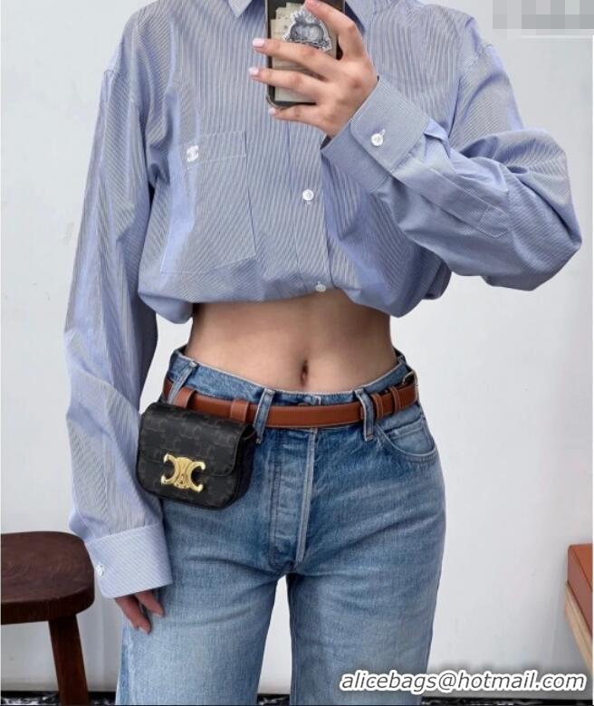 Classic Specials Celine Belt Bag Triomphe Belt in Triomphe Canvas and Calfskin 101555 Tan 2024 Top