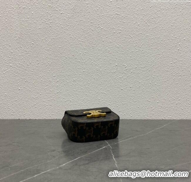 Classic Specials Celine Belt Bag Triomphe Belt in Triomphe Canvas and Calfskin 101555 Tan 2024 Top