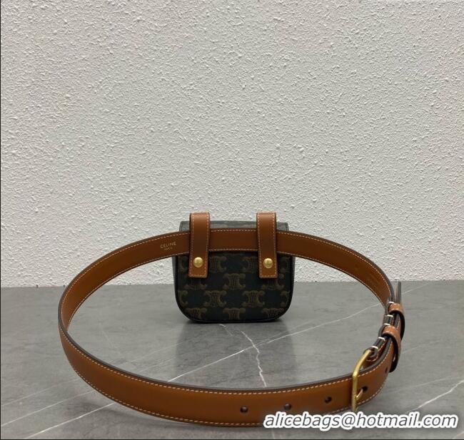 Classic Specials Celine Belt Bag Triomphe Belt in Triomphe Canvas and Calfskin 101555 Tan 2024 Top