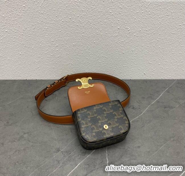 Classic Specials Celine Belt Bag Triomphe Belt in Triomphe Canvas and Calfskin 101555 Tan 2024 Top